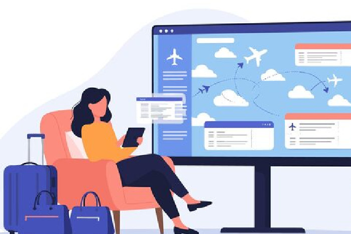 Ilustrasi Traveler 