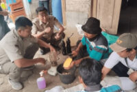 Kelompok Tani Desa Luwihaji-Ngraho Praktik Membuat Dekomposer, Langkah Nyata Jaga Kesuburan Tanah 
