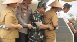 Panen Raya Padi di Kampar Dihadiri Wamentan, HKTI Riau Resmi Dilantik