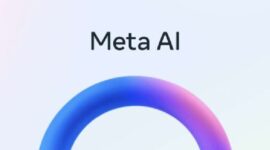 META