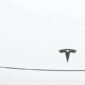 Mobil Listrik Tesla