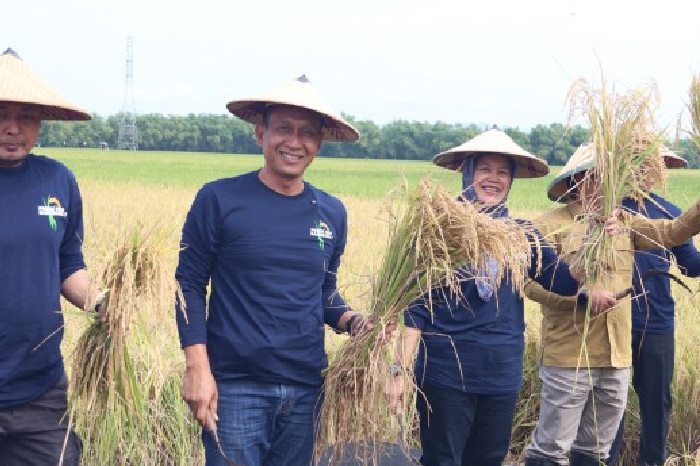 Bojonegoro Panen Gamagora 7 Bersama UGM, Dorong Swasembada Pangan Berkelanjutan