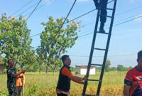 Rakor Magetan Petakan Pohon Rawan Tumbang Demi Keselamatan Warga