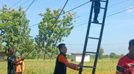 Rakor Magetan Petakan Pohon Rawan Tumbang Demi Keselamatan Warga