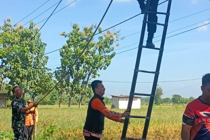 Rakor Magetan Petakan Pohon Rawan Tumbang Demi Keselamatan Warga
